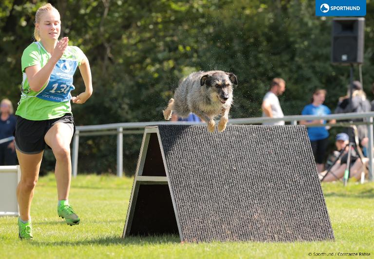 Vierkampf Hindernislauf