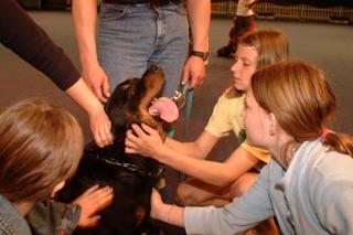 Der Rottweiler genießt sichtlich die Streicheleinheiten