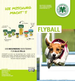 dvg_flyer_flyball_hp_titel.jpg