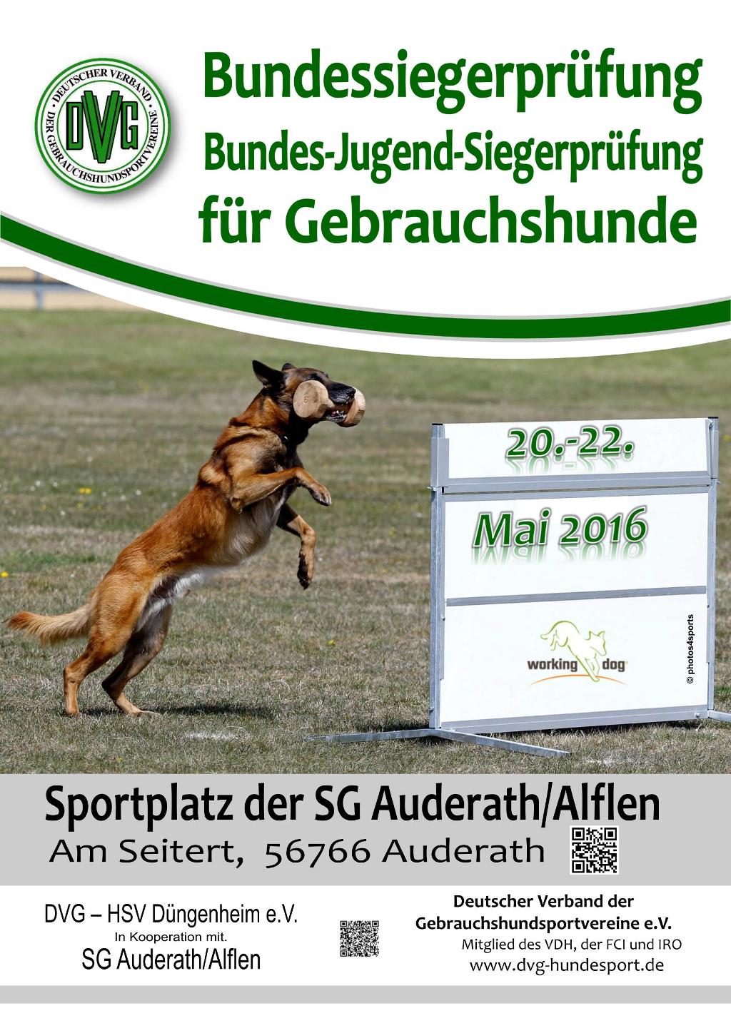 plakat_dvg_bsp_ghs_2016_v4-1-1.jpg?derivate=usage%3Dposter&cs=df8ac532cc4240c84af4e7ebc28800d11725c3e6ca1d9f5a48dccea5b0fae88ca491aa49e0bbcfcd7d88163d051c313442365890414caba2b09dd82e2a8a0fea