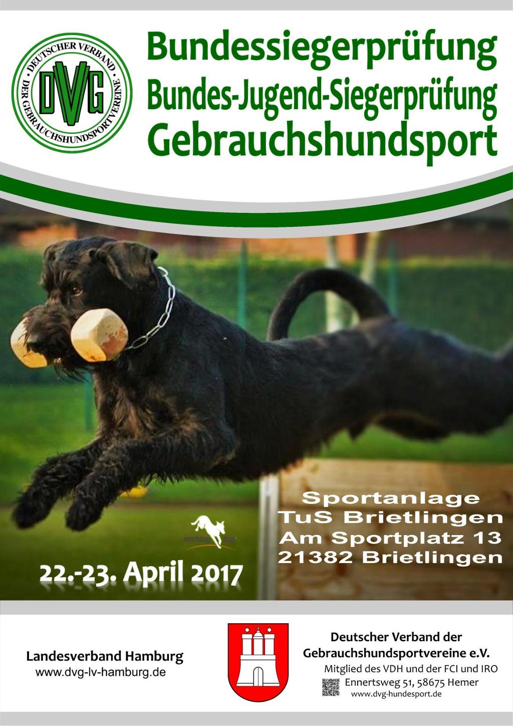 plakat_dvg-bsp-ghs_2017_v2-1.jpg