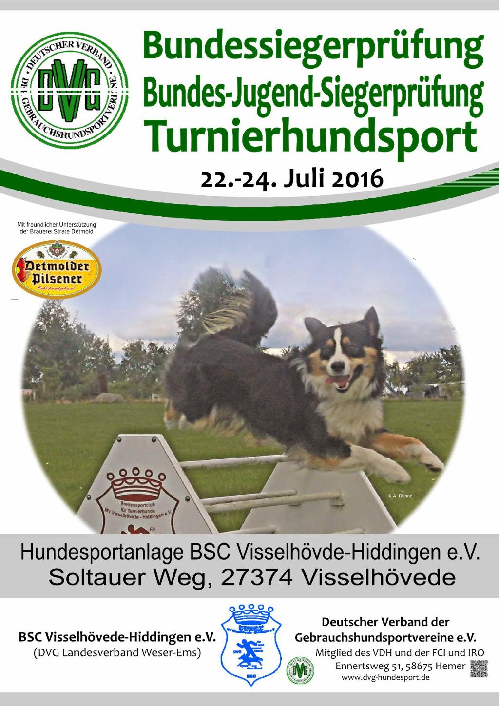 plakat_dvg_bsp_ths_2016_15-12-03.pdf