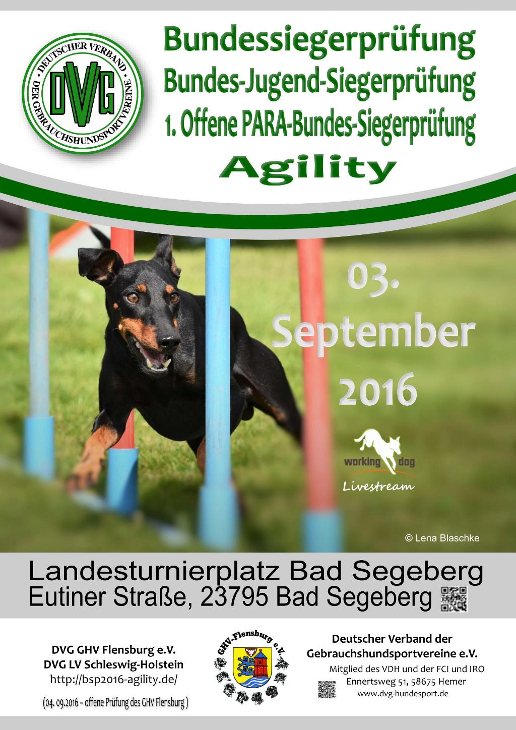 plakat_dvg_bsp_agility_2016_20-03-16_4-1.jpg