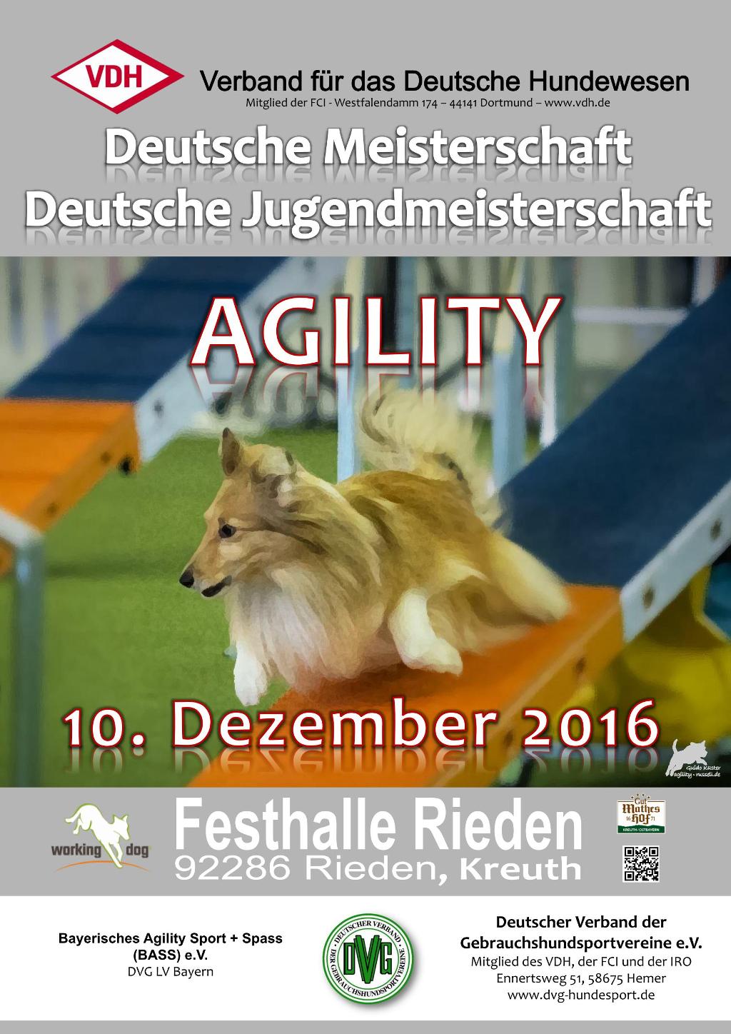 plakat_vdh_dm_agility_2016_09-06-16_v1-1.jpg