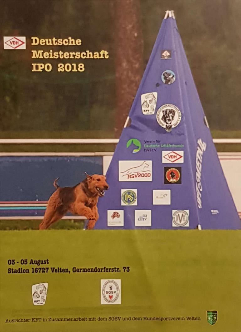 Plakat VDH DM 2018 Plakat VDH DM 2018