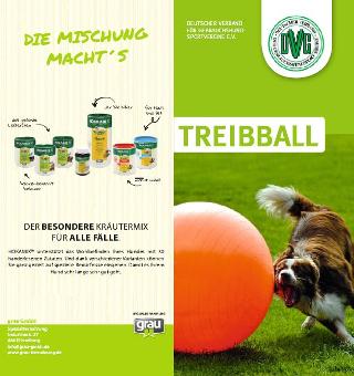 dvg_flyer_treibball_hp_titel.jpg