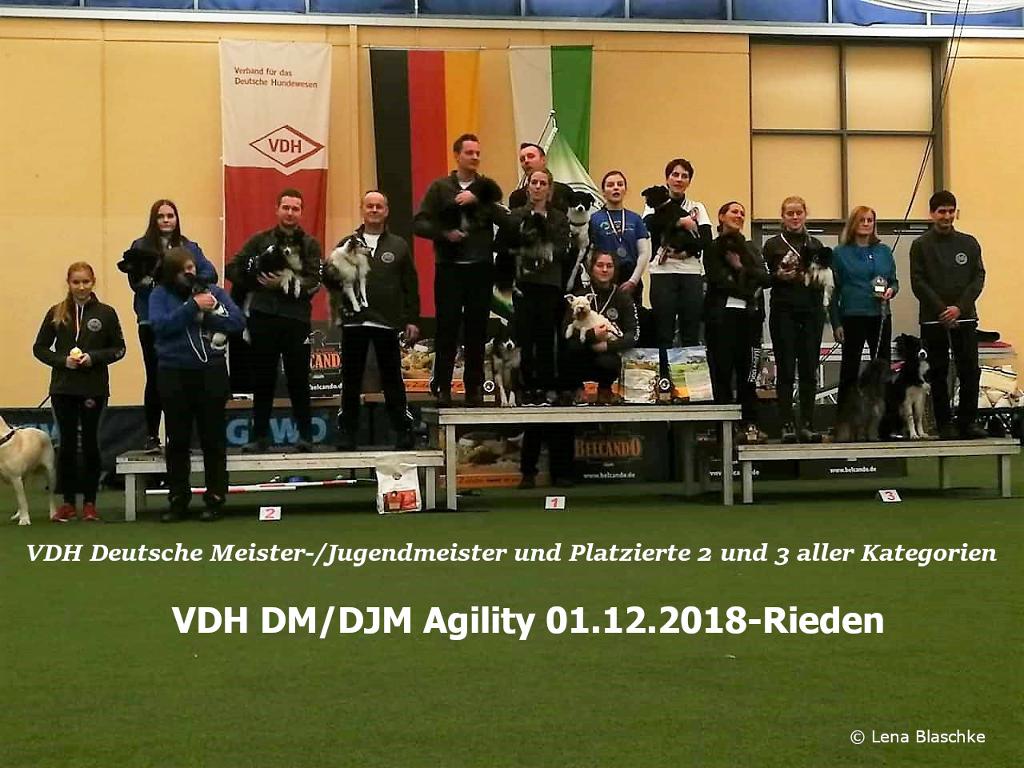 Sieger VDH DM Agility 2018