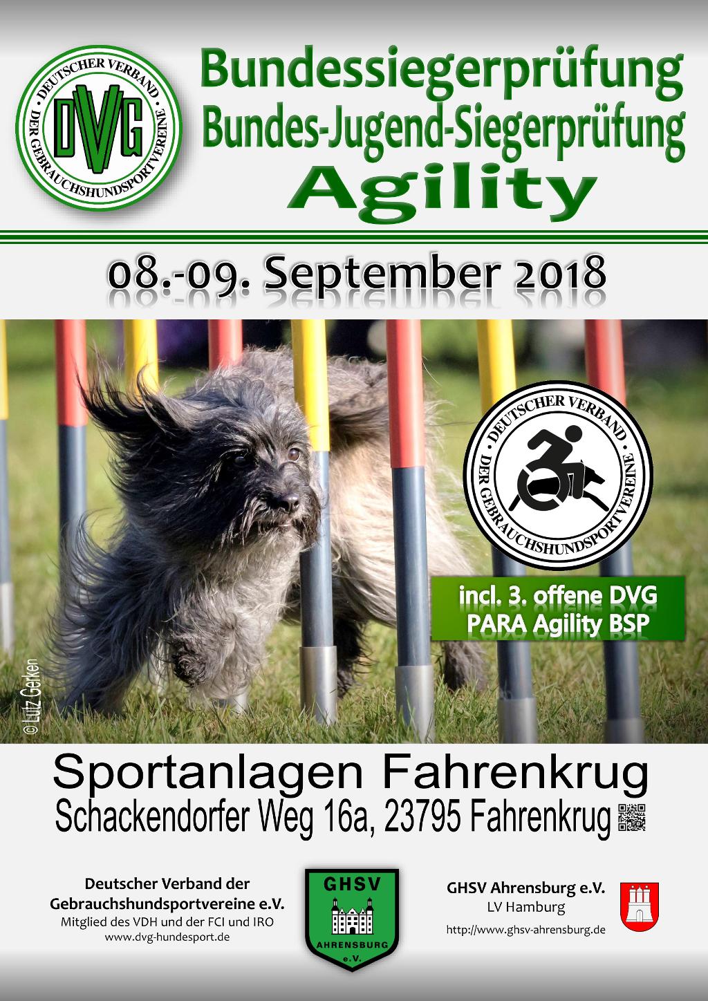 plakat_dvg_bsp_agility_2018_29-01-18-1.jpg