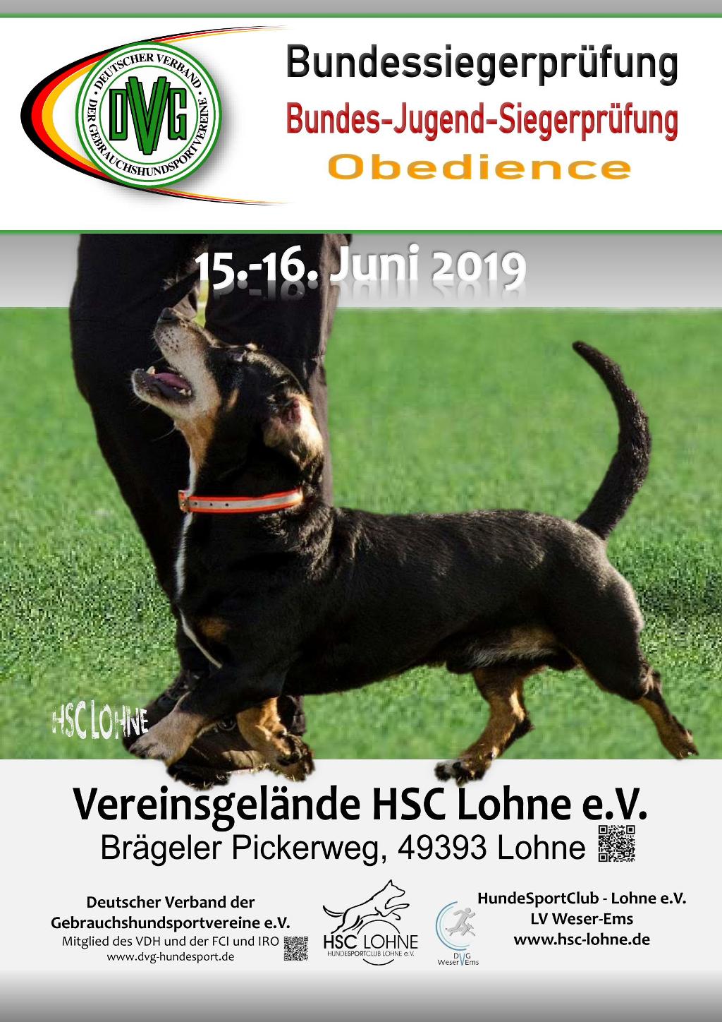 plakat_dvg-bsp-obedience_2019_14-11-18_v2.jpg