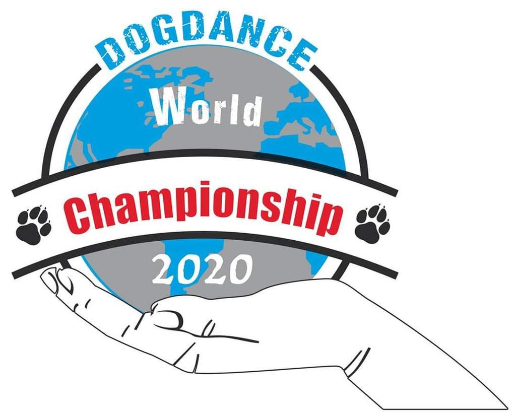 logo dd fci wm 2020