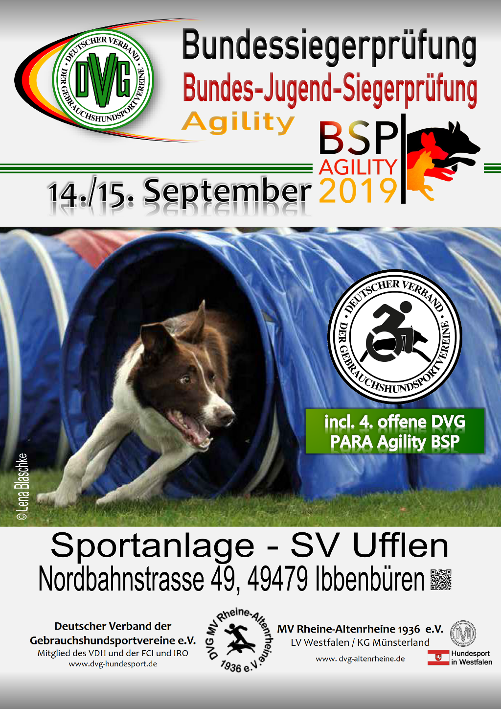 plakat_dvg_bsp_agility_2019_11-11-19_2_1.png