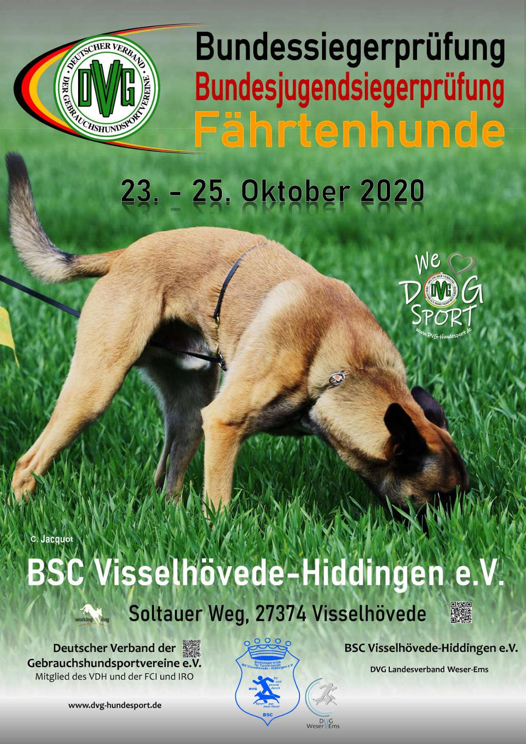 plakat_dvg-bsp-fh_2020_v3-1klein_tn.jpg