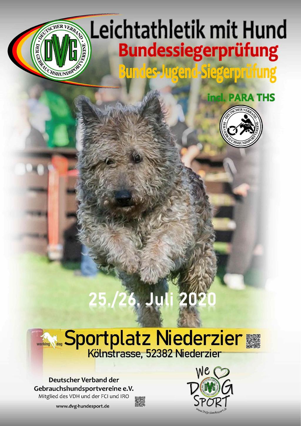 plakat_dvg-bsp-ths_2020.jpg plakat_dvg-bsp-ths_2020.jpg
