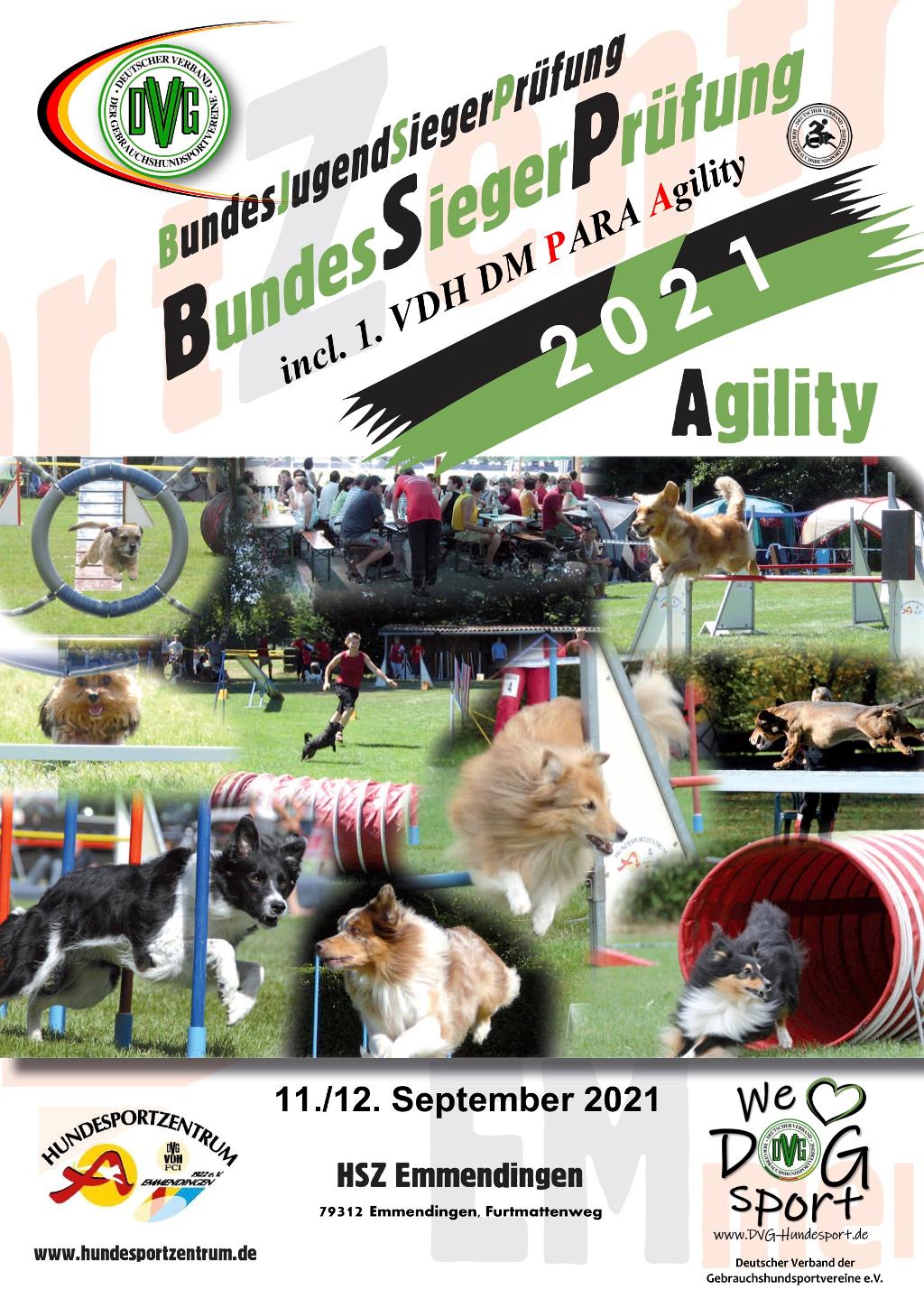 plakat dvg bsp agility 2021 vers2 2021-01-22