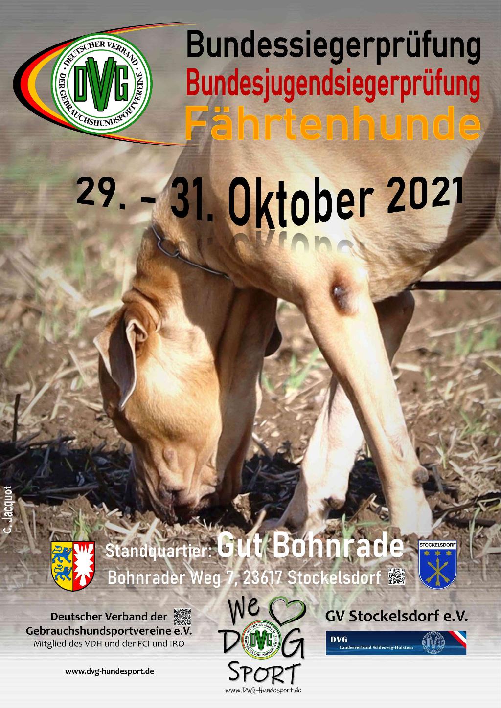 plakat dvg-bsp-fh 2021 v3