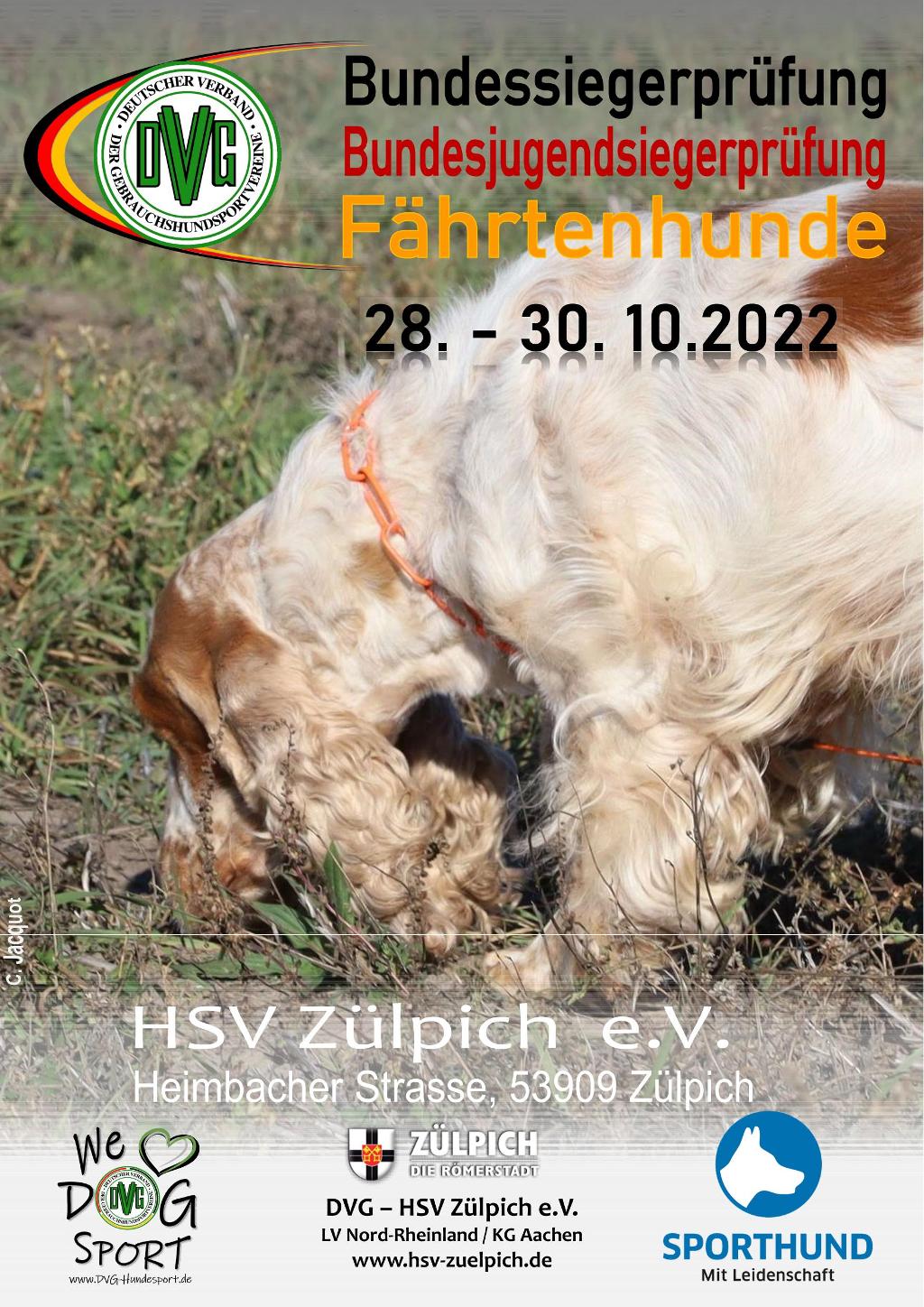 Plakat DVG-BSP-FH 2022 V1-1