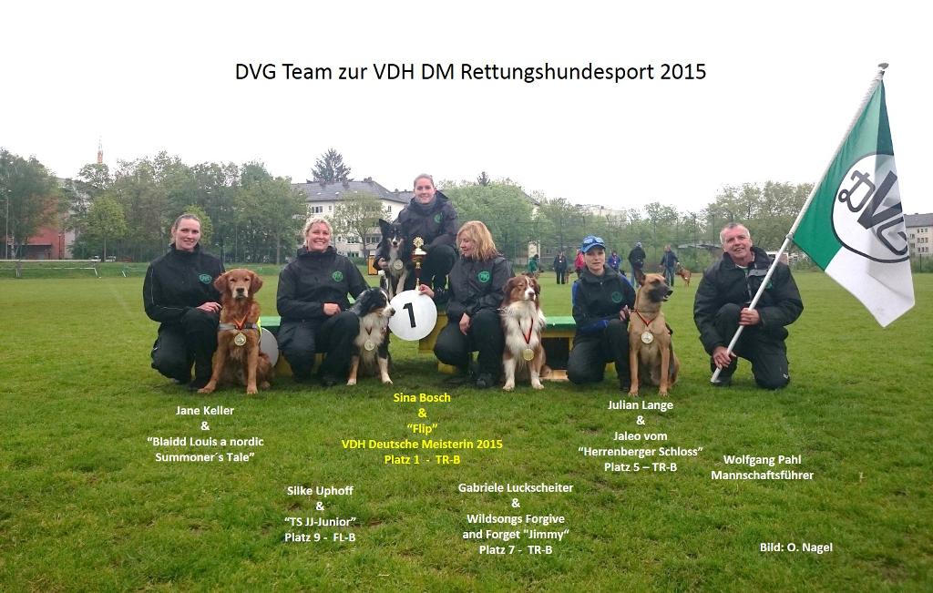 DVG Team