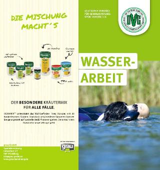 dvg_flyer_wasserarbeit_hp_titel.jpg