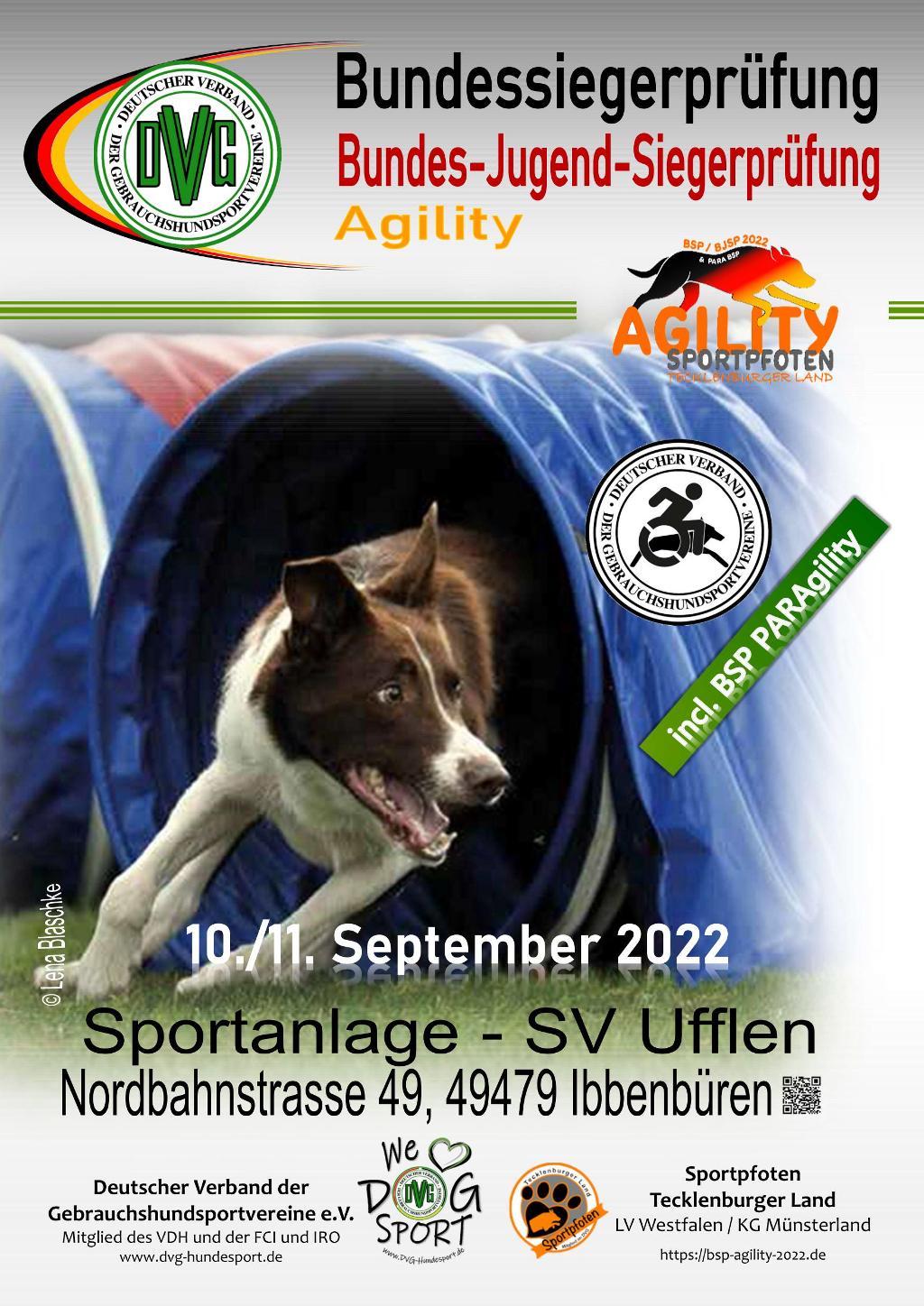 Plakat DVG BSP Agility 2022 V3 2022-06-01
