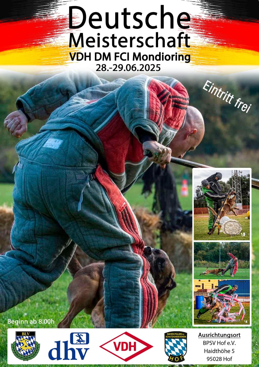 plakat vfg dm mondioring 2025