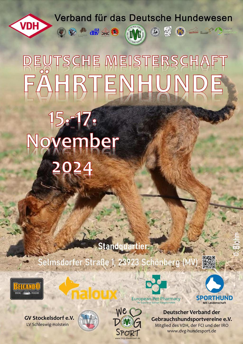 plakat vdh dm igp fh 2024