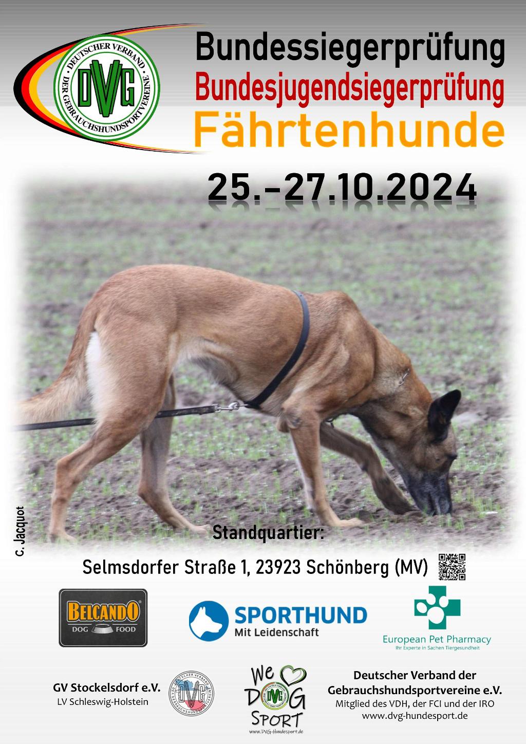 plakat dvg bsp fh 2024