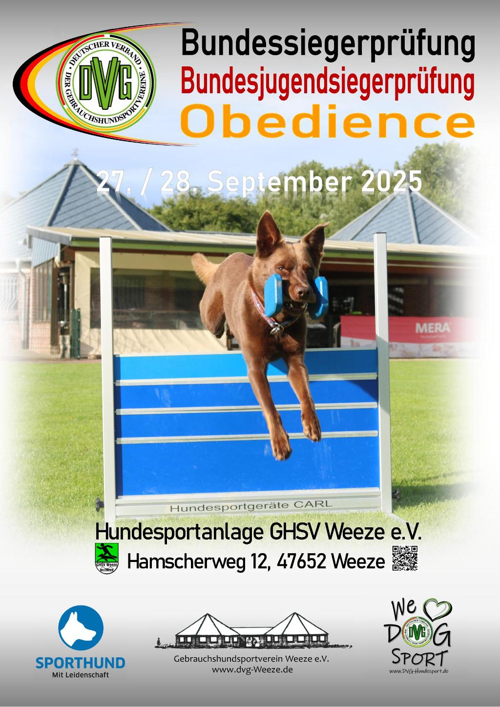 plakat dvg bsp obedience 2025