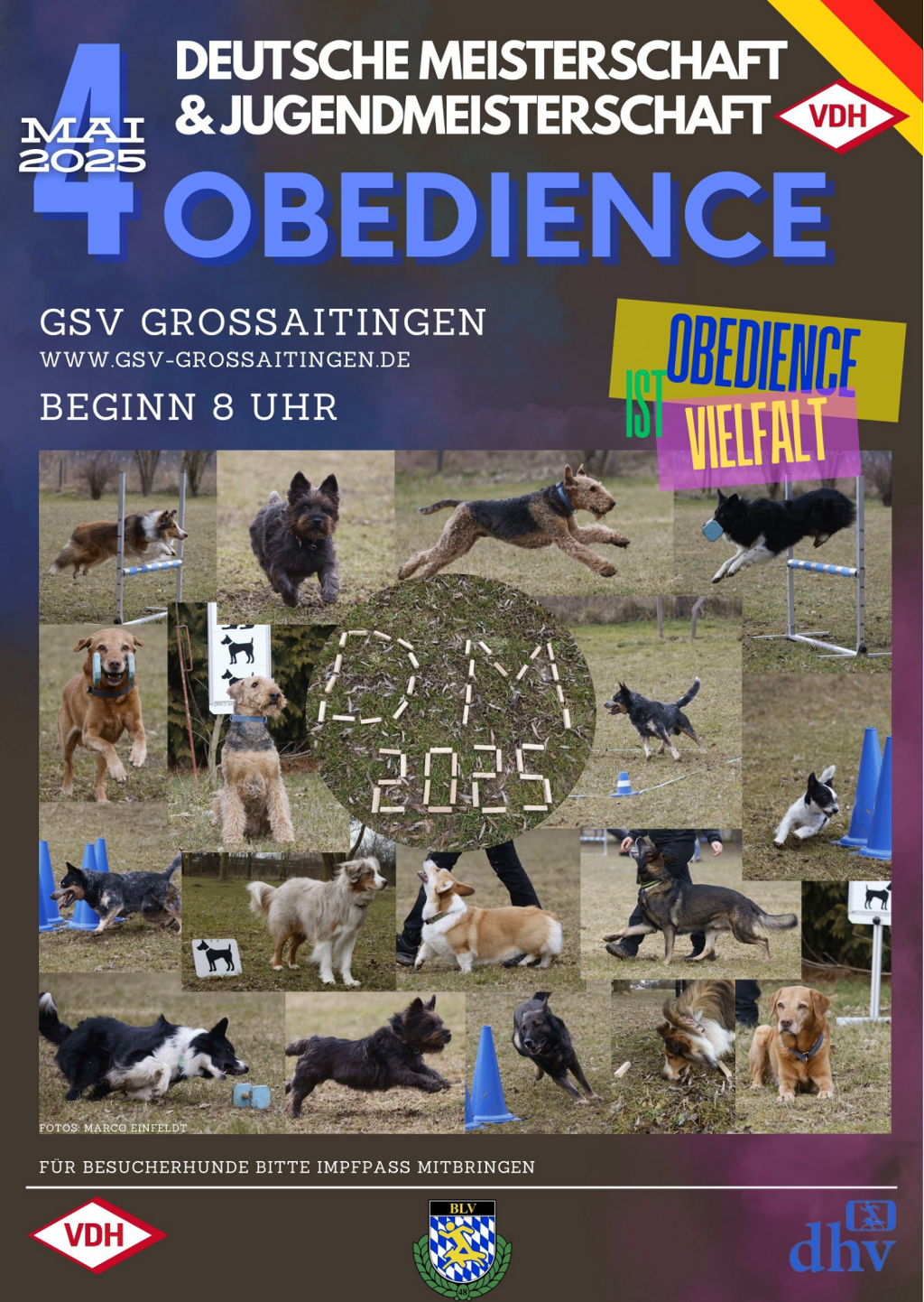 plakat 2025 dm obedience