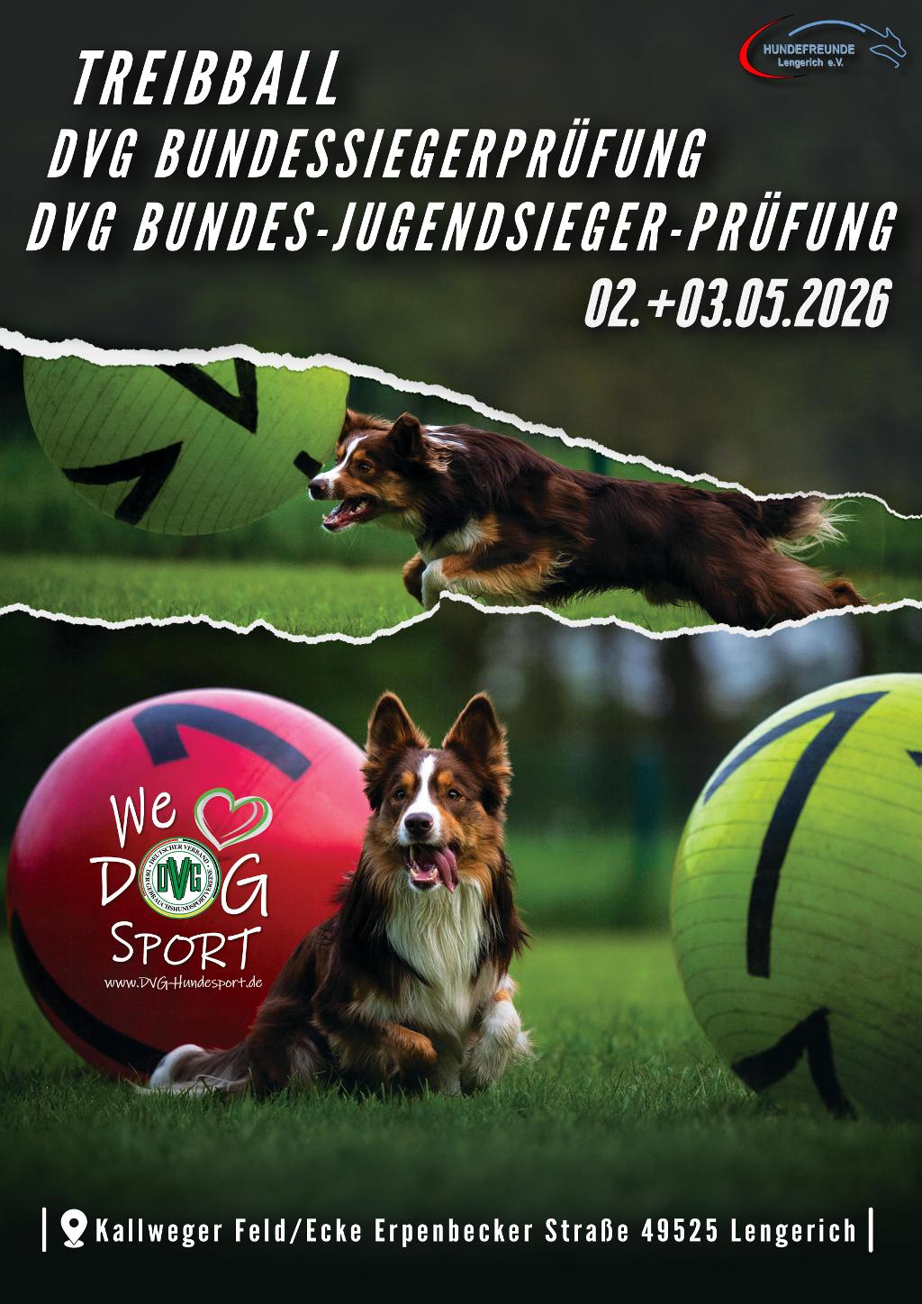 dvg bsp treibball 2026 plakat a3