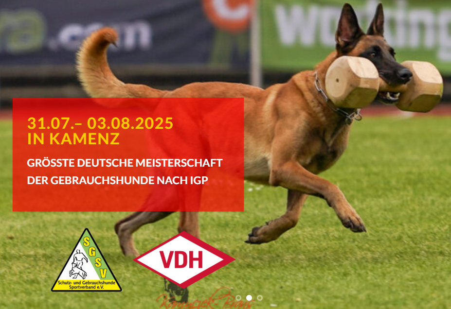 vdh dm igp 2025