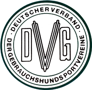 PKW Aufkleber DVG Logo